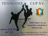 Tennesee cup