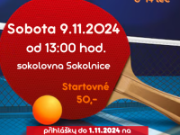 Turnaj ve stolním tenise - 9. listopadu 2024 (Sokolnice)